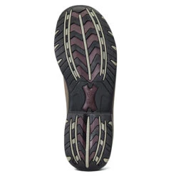 Ariat Terrain Ease H2O Mens Endurance Riding Shoe -Ovation Store 10040235 c1109 alt4