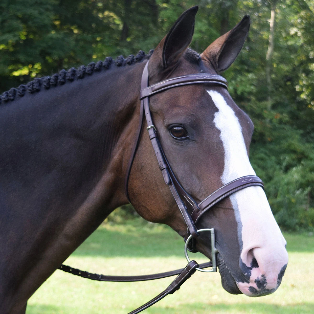 Black Oak Spruce Fancy Stitch Hunter Bridle 1 Black Oak Spruce Fancy Stitch Hunter Bridle
