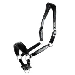 Schockemohle Fremont Anatomic Leather Halter 7 Schockemohle Fremont Anatomic Leather Halter -Ovation Store 1310 00012 c1105 alt3