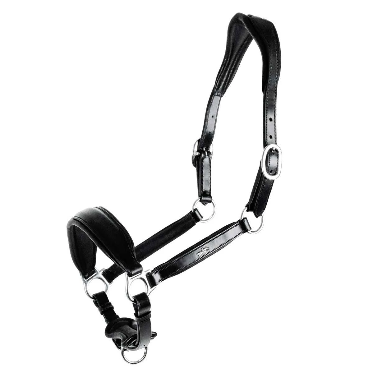 Schockemohle Fremont Anatomic Leather Halter 3 Schockemohle Fremont Anatomic Leather Halter - Image 3