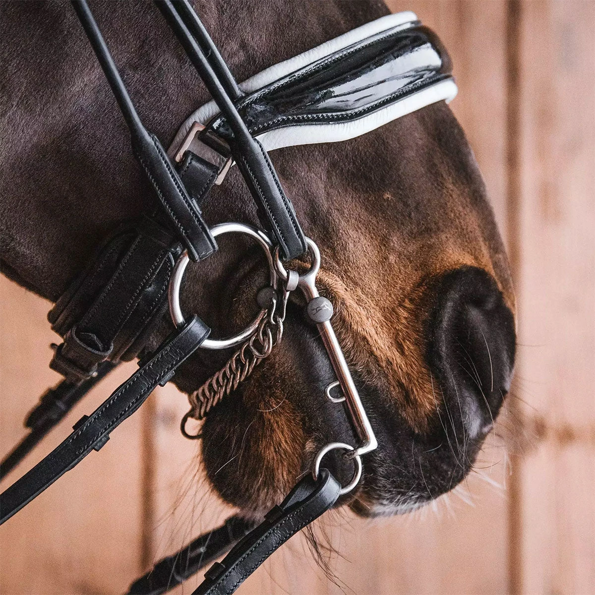 Fager Sofia Titanium Weymouth Bit - 7cm - Test Ride Bit 2 Fager Sofia Titanium Weymouth Bit - 7cm - Test Ride Bit - Image 2