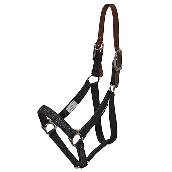 Flexible Filly Turnout Halter 1 Flexible Filly Turnout Halter