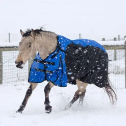 Tough 1 Bellyband 1200D Turnout Blanket With Snuggit Neck 250 Gm 7 Tough 1 Bellyband 1200D Turnout Blanket With Snuggit Neck 250 Gm -Ovation Store 32 12250 c1106 alt1