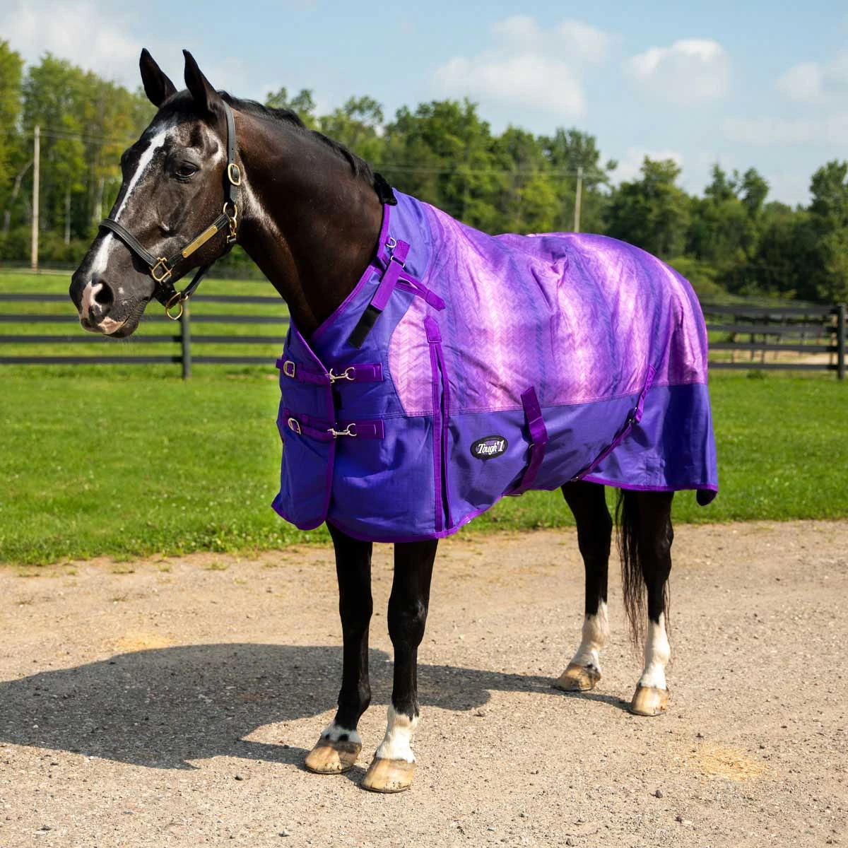 Tough 1 1200D Chevron Turnout Blanket With Snuggit Neck 250 Gm 1 Tough 1 1200D Chevron Turnout Blanket With Snuggit Neck 250 Gm