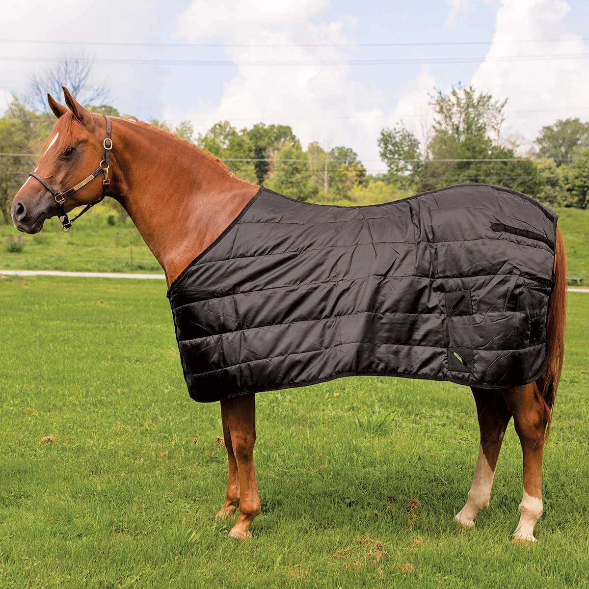 Tough 1 Blanket Liner 150 Gm 1 Tough 1 Blanket Liner 150 Gm