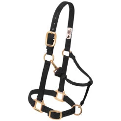 Weaver Leather Weaver Nylon Halter - Suckling Size -Ovation Store 35 1030 c1105 6805f990 7156 486b 8640 853bc44181dd