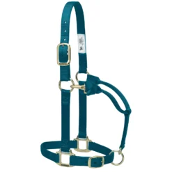 Weaver Leather Weaver Nylon Halter Weanling Pony Size -Ovation Store 35 1032 c1168 scaled