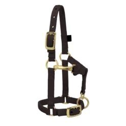 Weaver Leather Weaver Miniature Horse Adjustable Nylon Halter Large -Ovation Store 35 4805 c1105 a6924732 b990 43ef 8f53 65ee5ef75f3a