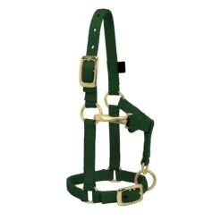 Weaver Leather Weaver Miniature Horse Adjustable Nylon Halter Large -Ovation Store 35 4805 c1129