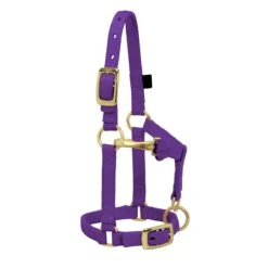 Weaver Leather Weaver Miniature Horse Adjustable Nylon Halter Large -Ovation Store 35 4805 c1157