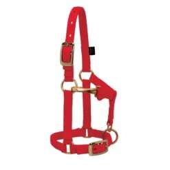 Weaver Leather Weaver Miniature Horse Adjustable Nylon Halter Large -Ovation Store 35 4805 c1158