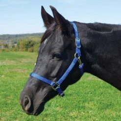 Weaver Leather Weaver Nylon Halter Average - Arabian Size -Ovation Store 35 5035 c1106