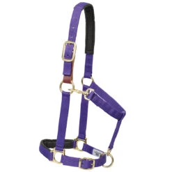 Weaver Leather Weaver Breakaway Padded Nylon Halter -Ovation Store 35 6075 c1157