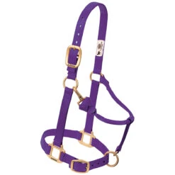 Weaver Leather Weaver Original Yearling Horse Nylon Halter -Ovation Store 35 7033 c1157
