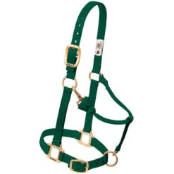 Weaver Leather Weaver Nylon Halter Average Horse Size 17 Weaver Leather Weaver Nylon Halter Average Horse Size -Ovation Store 35 7035 c1129