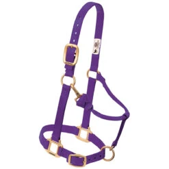 Weaver Leather Weaver Nylon Halter Average Horse Size 19 Weaver Leather Weaver Nylon Halter Average Horse Size -Ovation Store 35 7035 c1157