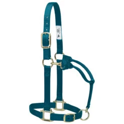 Weaver Leather Weaver Nylon Halter Average Horse Size 24 Weaver Leather Weaver Nylon Halter Average Horse Size -Ovation Store 35 7035 c1168 1ac34410 e419 44f8 ac2c a2815738a9c3