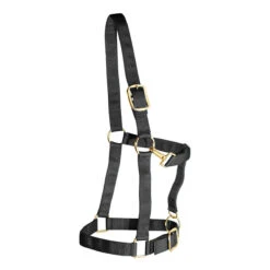 Weaver Leather Weaver Draft Horse Halter Nylon - Large Draft -Ovation Store 35 7636 c1105 61a5cd4e d85a 48a8 bafc 0b012656e7ed