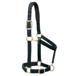 Weaver Leather Weaver Padded Adjustable Nylon Halter -Ovation Store 35 77w c1105 8c89fba0 ecf7 466a b55e 1826c0665aa0