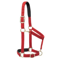 Weaver Leather Weaver Padded Adjustable Nylon Halter -Ovation Store 35 77w c1158