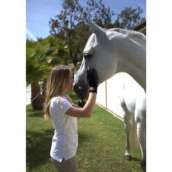 HandsOn Grooming Gloves Pair -Ovation Store 35053 3