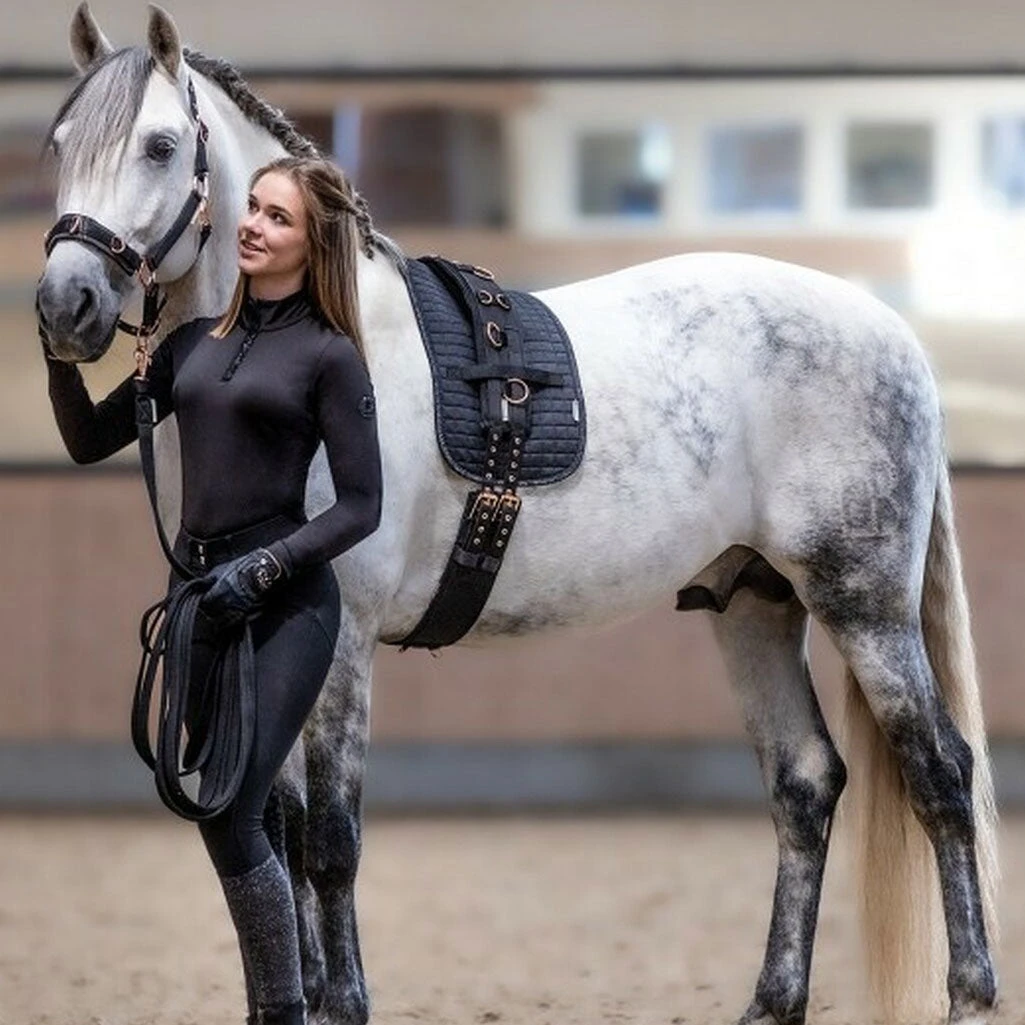 Waldhausen Quilted Surcingle Pad 2 Waldhausen Quilted Surcingle Pad - Image 2