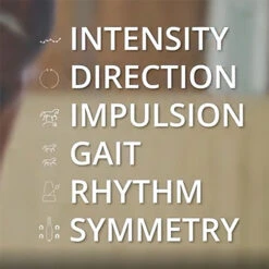 Equestic SaddleClip Equine Motion Sensor Saddle Clip -Ovation Store 5845eq 6