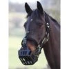 GreenGuard Grazing Muzzle