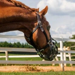 GreenGuard Breakaway Halter -Ovation Store 61374 c1105 alt1