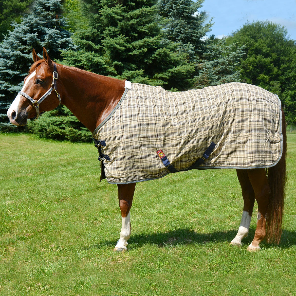 5/A Baker Deluxe Stable Blanket 1 5/A Baker Deluxe Stable Blanket