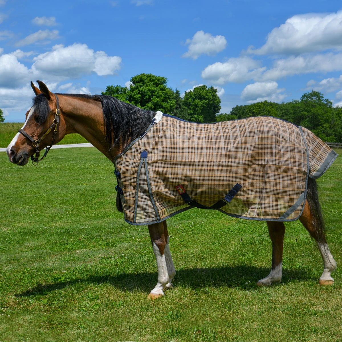 5/A Baker PVC Fly Sheet With Detachable Neck Cover 2 5/A Baker PVC Fly Sheet With Detachable Neck Cover - Image 2