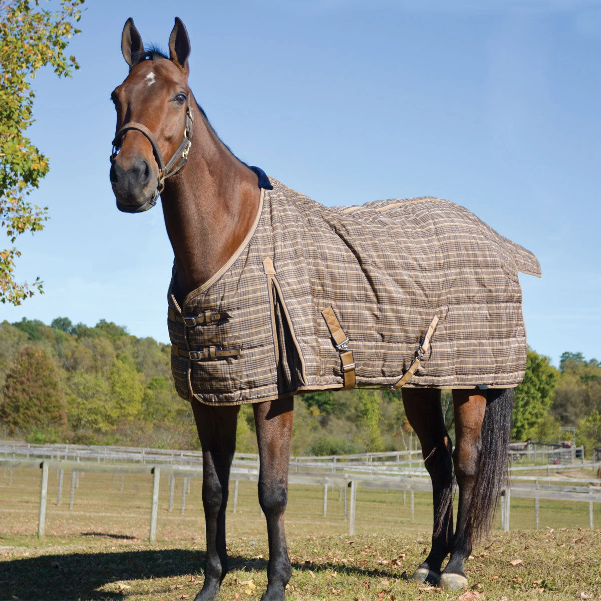 Country Pride Highland 1200D Lightweight Stable Blanket 2 Country Pride Highland 1200D Lightweight Stable Blanket - Image 2