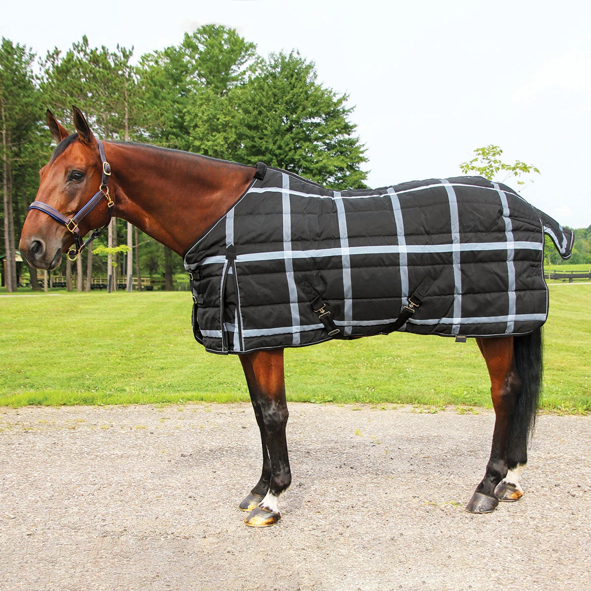 Country Pride Highland 1200D Lightweight Stable Blanket 1 Country Pride Highland 1200D Lightweight Stable Blanket
