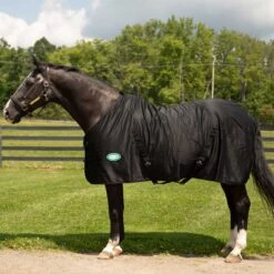 Country Pride Solid Color Cotton Poly Summer Stable Sheet -Ovation Store 7306t c1105 fabe5654 96bd 44a7 847d b138016cfdfa