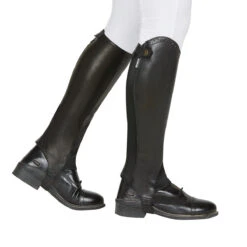 Dublin Evolution Rear Zip Ladies Half Chaps