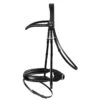 Passier Fortuna Dressage Bridle Horse Size