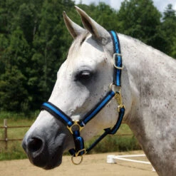 Country Pride Padded Two Tone Nylon Halter 8 Country Pride Padded Two Tone Nylon Halter -Ovation Store 858735 c1106 f3da79ed 4d7e 401e 8421 1dfd191f156a