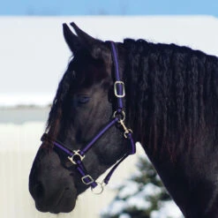 Country Pride Padded Two Tone Nylon Halter 10 Country Pride Padded Two Tone Nylon Halter -Ovation Store 858735 c1157