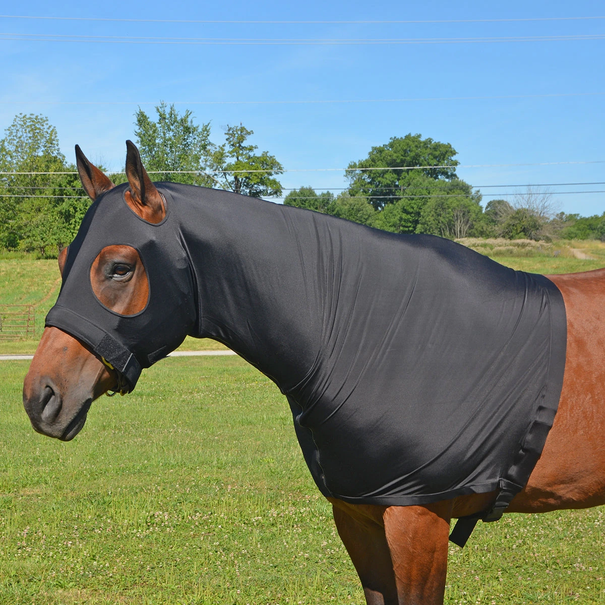 Lycra Head And Shoulder Hood With Full Zipper 1 Lycra Head And Shoulder Hood With Full Zipper