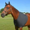 Country Pride Lycra Chest Guard