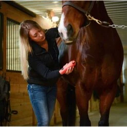 Wahl KM Cordless 2 Speed Clipper Kit -Ovation Store 9596 100 c1156 alt3