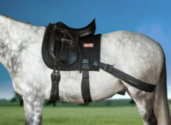 Equicore Complete Equiband Pro System -Ovation Store EnglishCloseUp 1