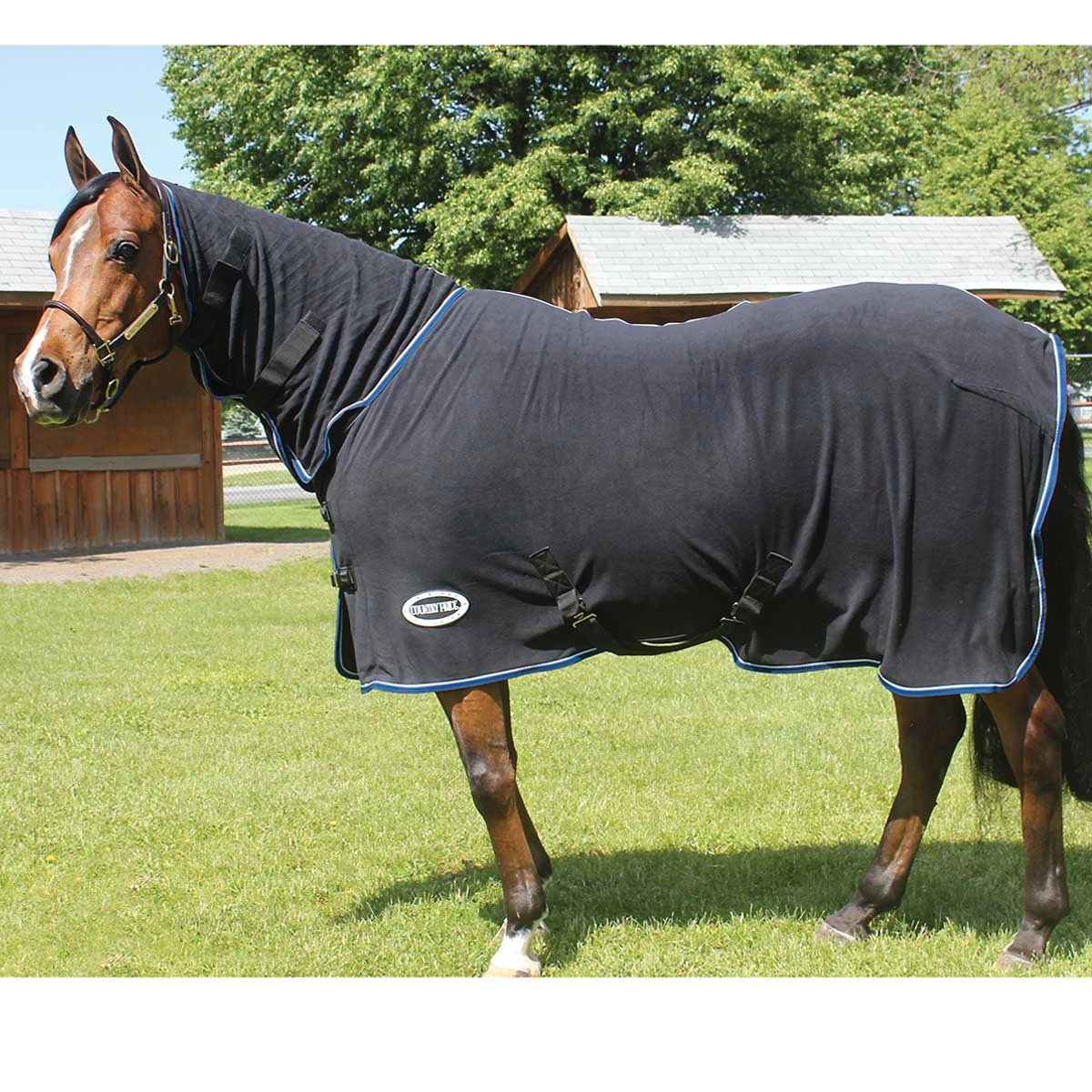 Country Pride High Neck Tapered Micro Fleece Cooler 1 Country Pride High Neck Tapered Micro Fleece Cooler