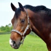 5/A Baker Nylon Breakaway Halter