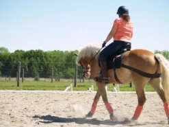 Equicore Complete Equiband Pro System -Ovation Store eccP1015565 1 scaled