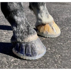 EasyShoe Versa Grip Octo Front Shoe Pair -Ovation Store esvgo 5 39d231a6 db38 415b 8f57 7515ab47b0cc