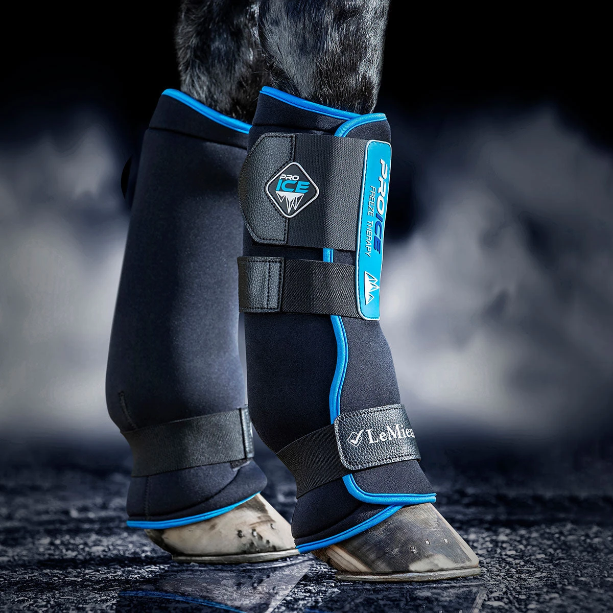 LeMieux ProIce Freeze Boots Pair 4 LeMieux ProIce Freeze Boots Pair - Image 4