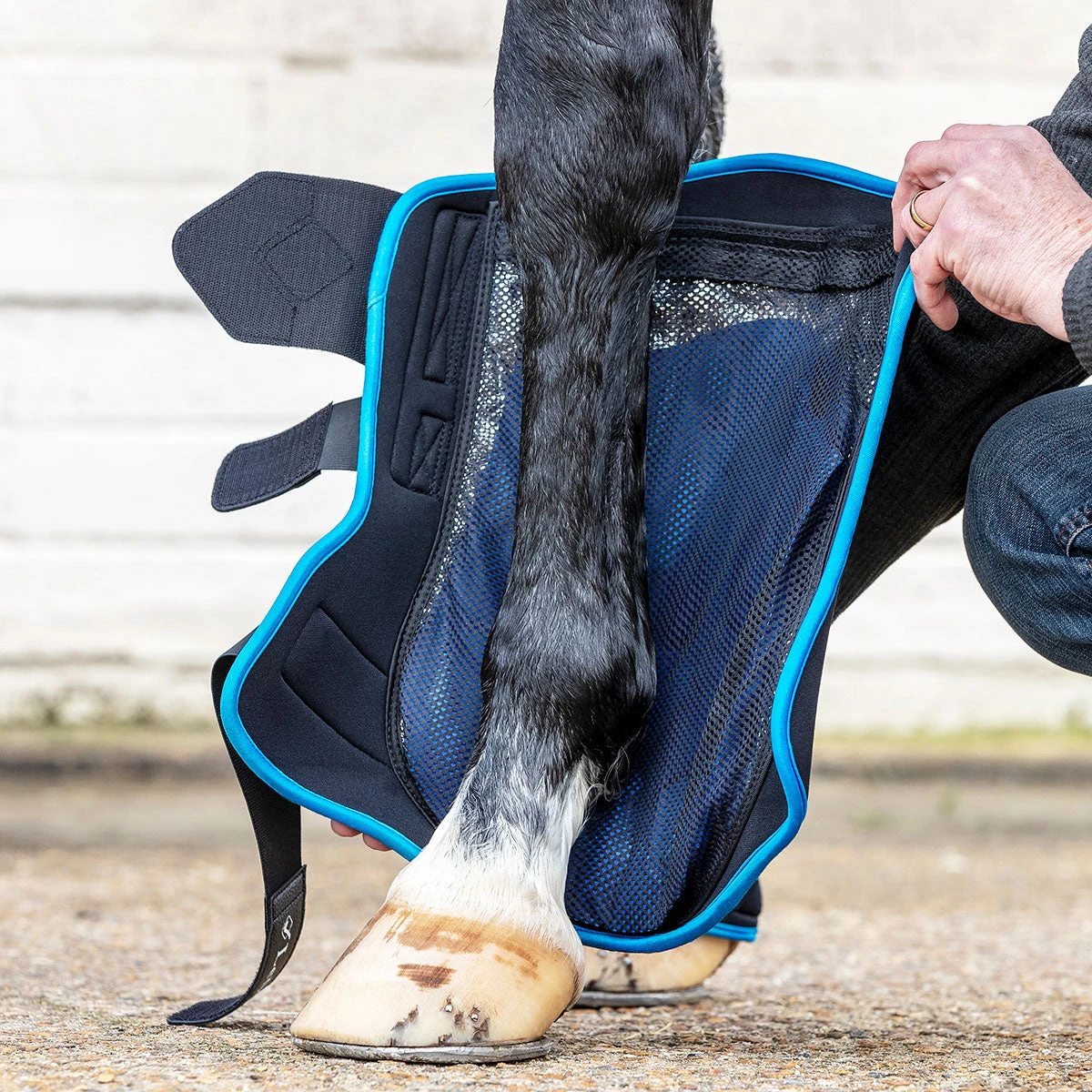 LeMieux ProIce Freeze Boots Pair 3 LeMieux ProIce Freeze Boots Pair - Image 3