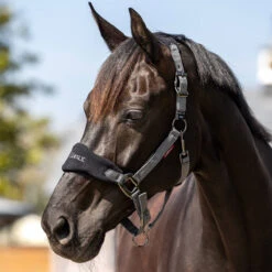 LeMieux Vogue Halter And Leadrope Set -Ovation Store it0082 c1105 alt1