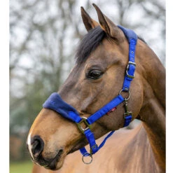 LeMieux Vogue Halter And Leadrope Set -Ovation Store it0082 c1106 alt1